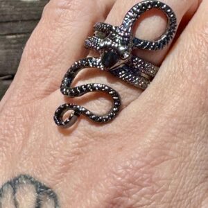 Ring Black snake